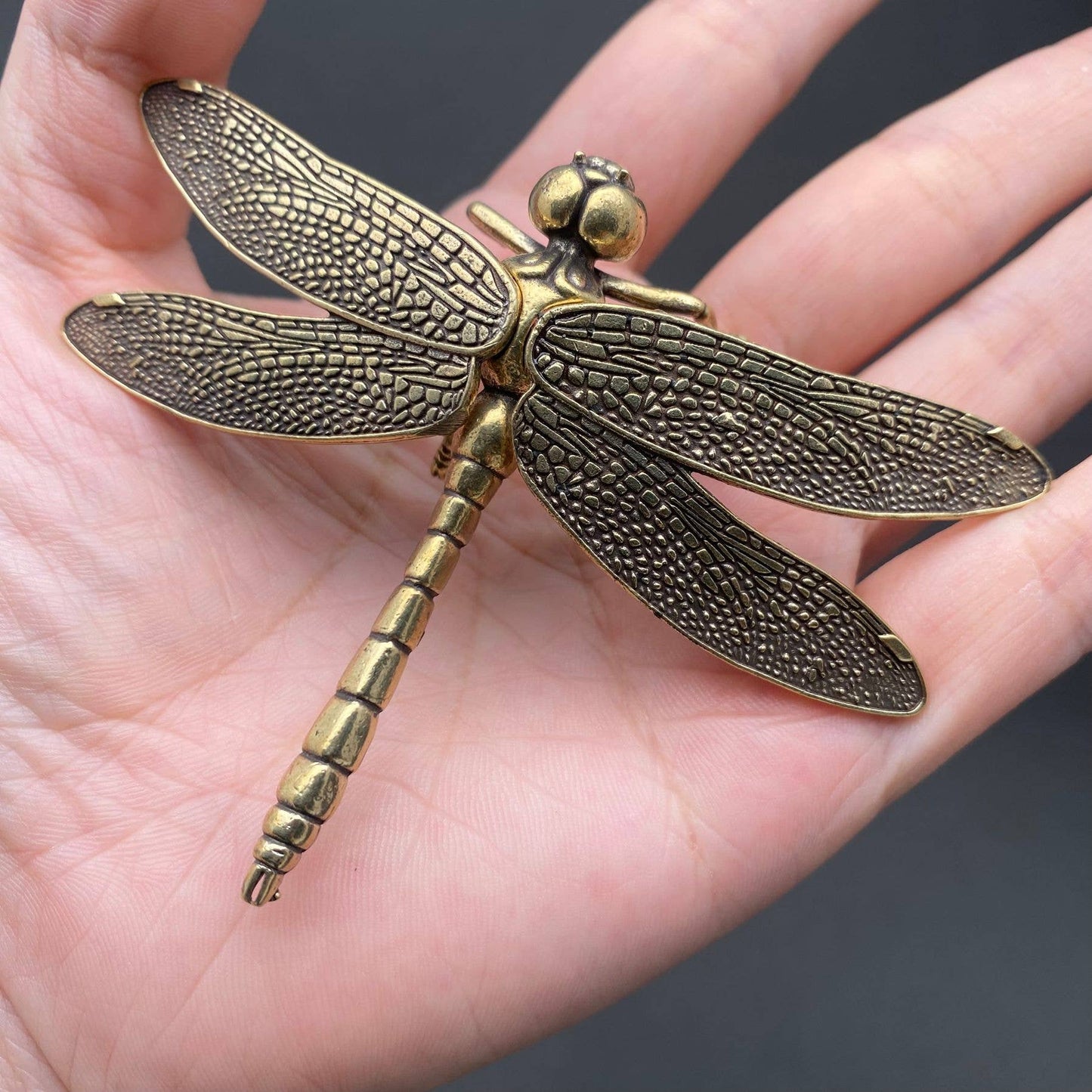 Brass Dragonfly Crafts Decoration Desktop Ornaments - The Mirrored Past