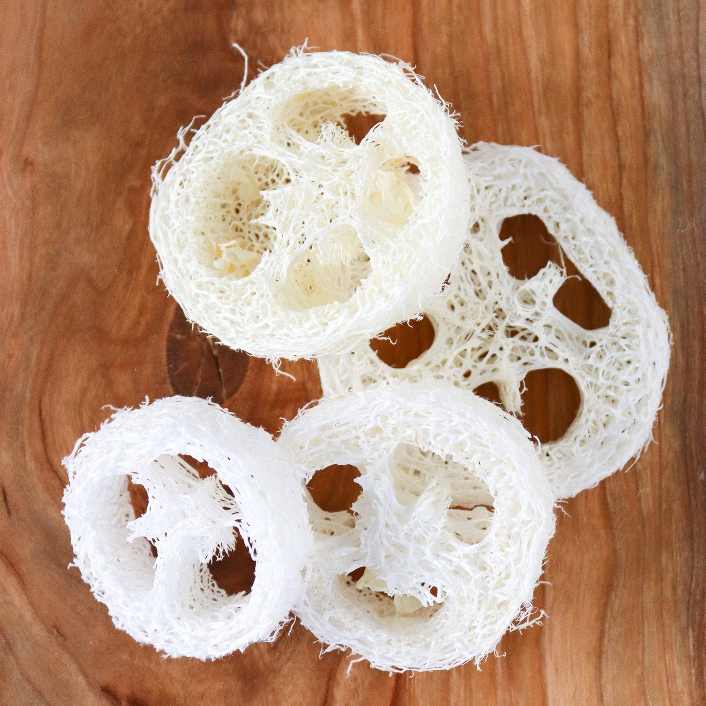 Loofah Single Piece | Loofah Slice/Soap Riser - The Mirrored Past