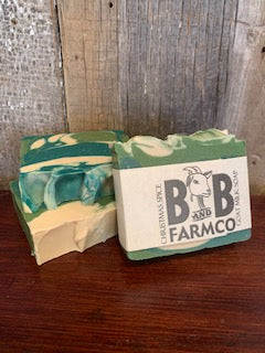 Goat Milk Bar Soap | Christmas Spice - The Mirrored Past