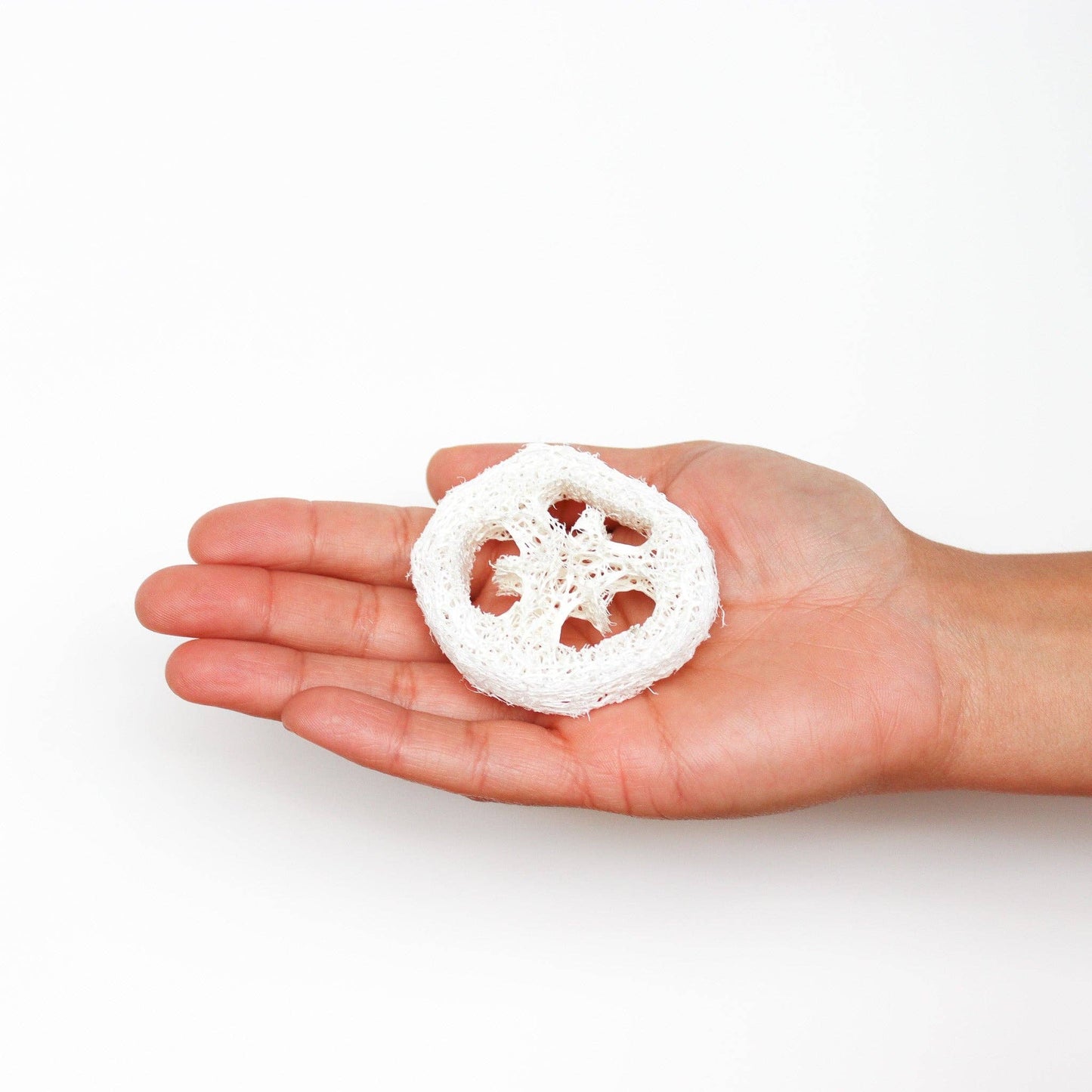 Loofah Single Piece | Loofah Slice/Soap Riser - The Mirrored Past