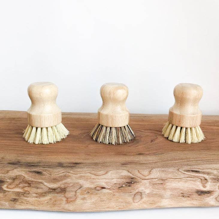 Three wooden brushes with bristle heads on a wooden surface against a white background