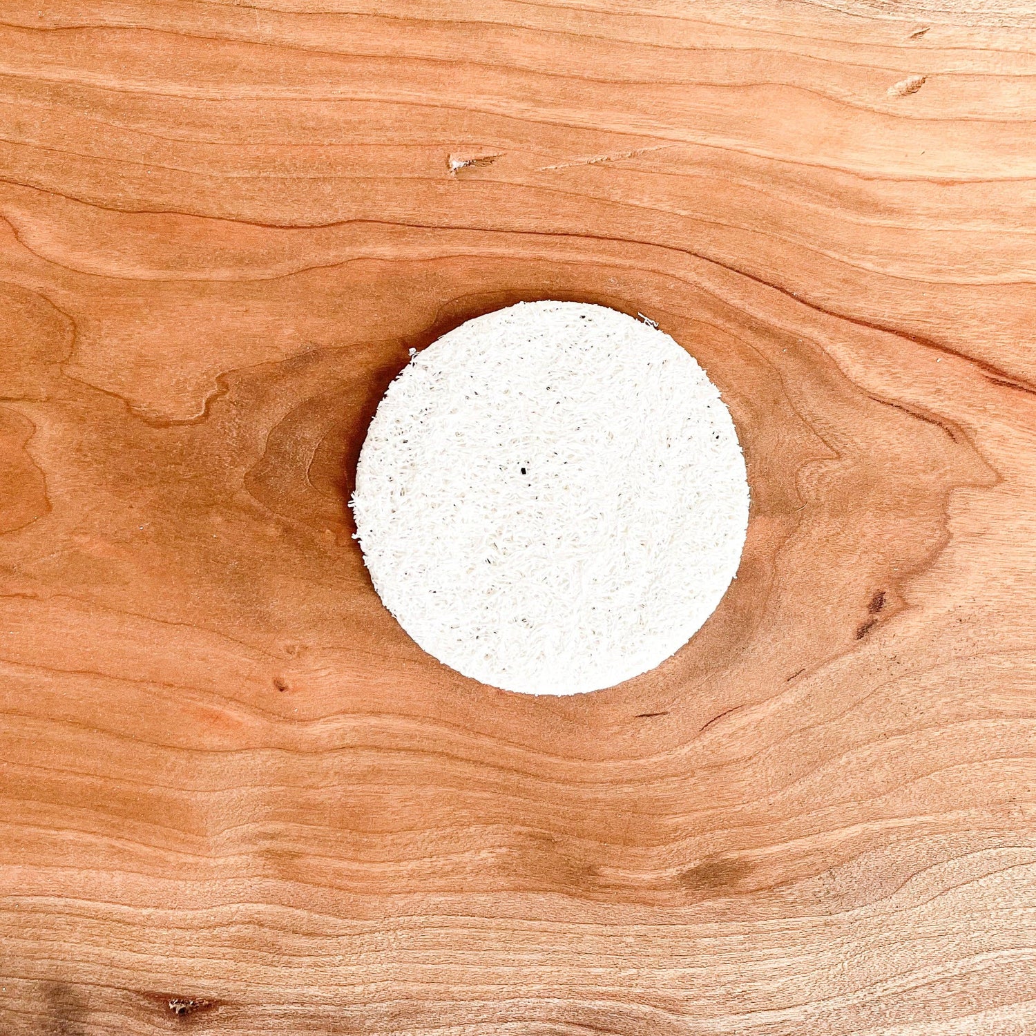 Loofah Pad: Round Facial Pad that's Biodegradable, available at The Mirrored Past.
