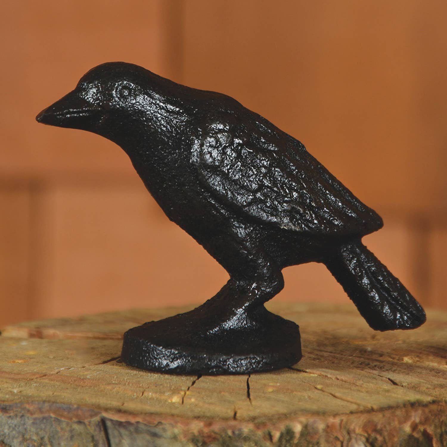 Black Crow - Cast Iron - Black - The Mirrored Past