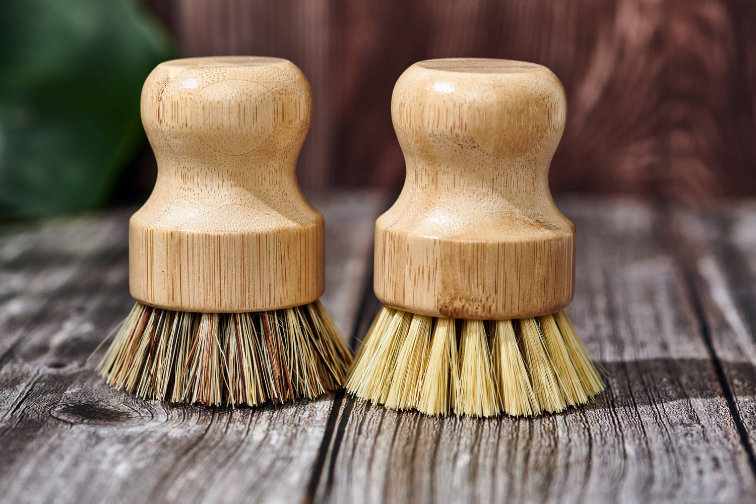 Bamboo Handle-less Dish Scrubbing Brush (Plastic Free): Firmer & Darker Colored Bristles Only - The Mirrored Past