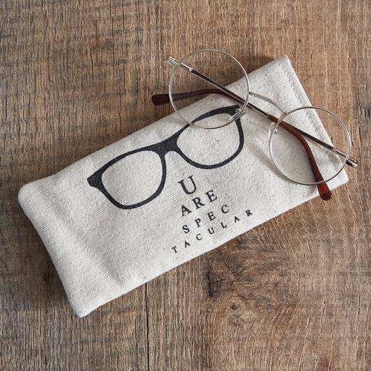 Spectacular Eyeglass Case - The Mirrored Past