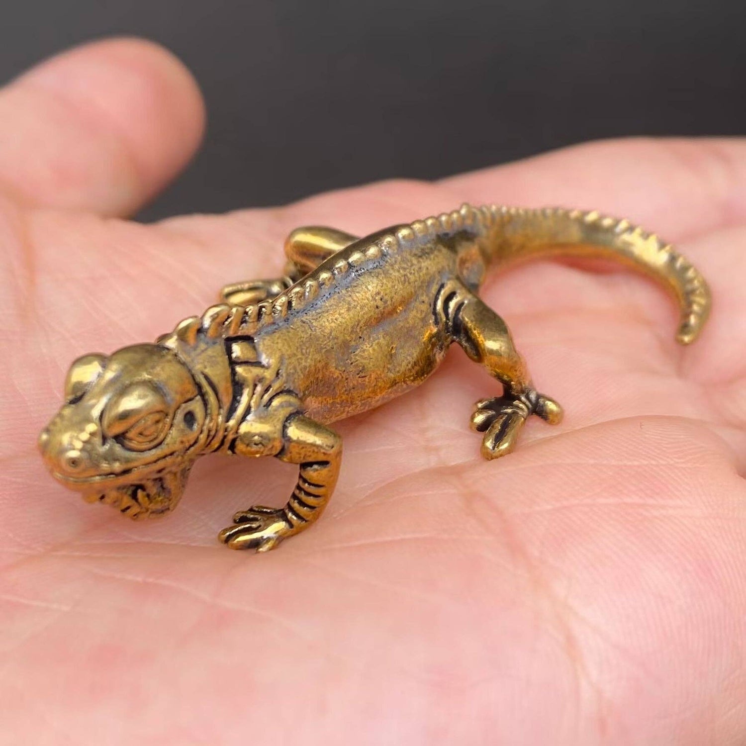 Brass Lizard Crafts Decoration Desktop Ornaments - The Mirrored Past