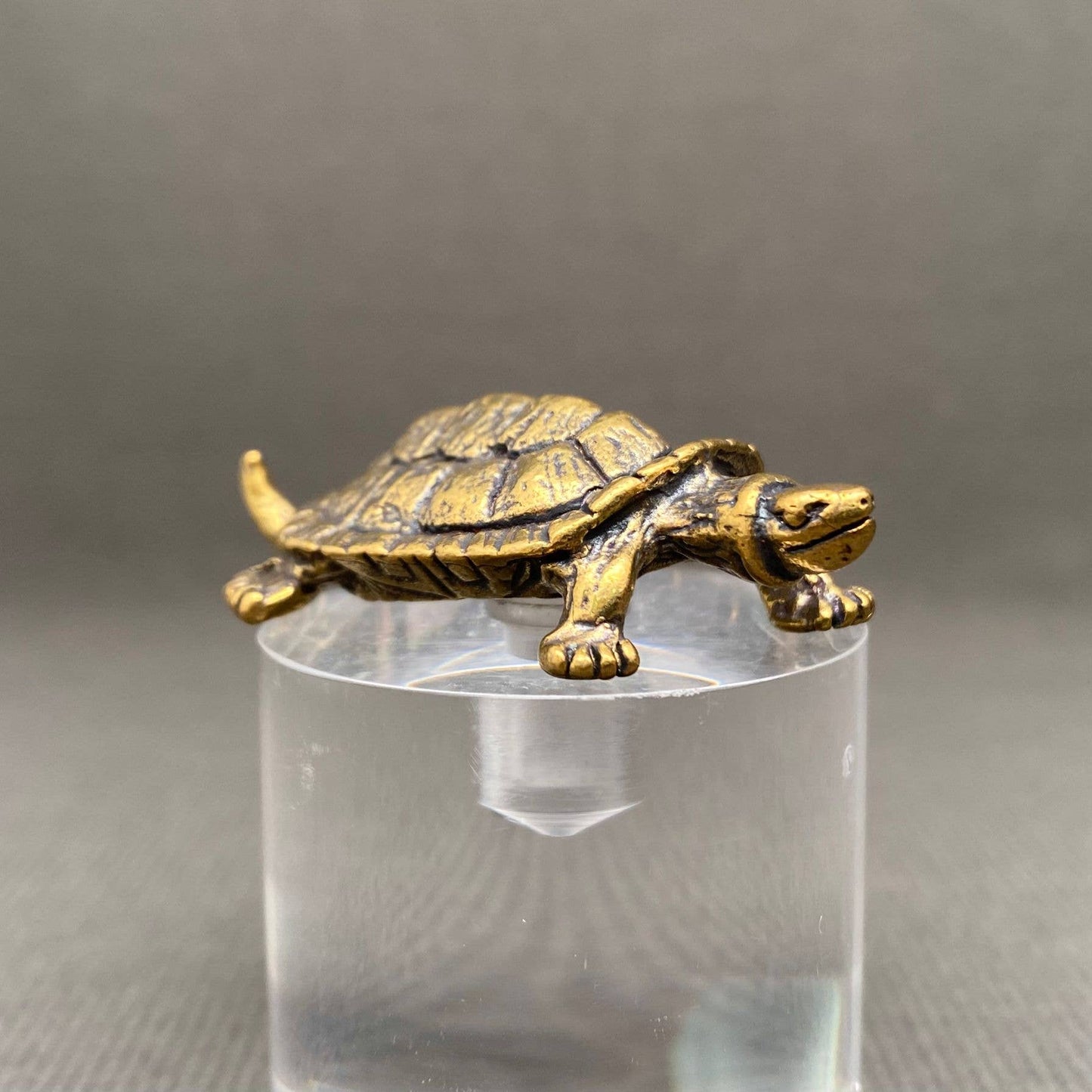 Brass Turtle Crafts Decoration Desktop Ornaments - The Mirrored Past