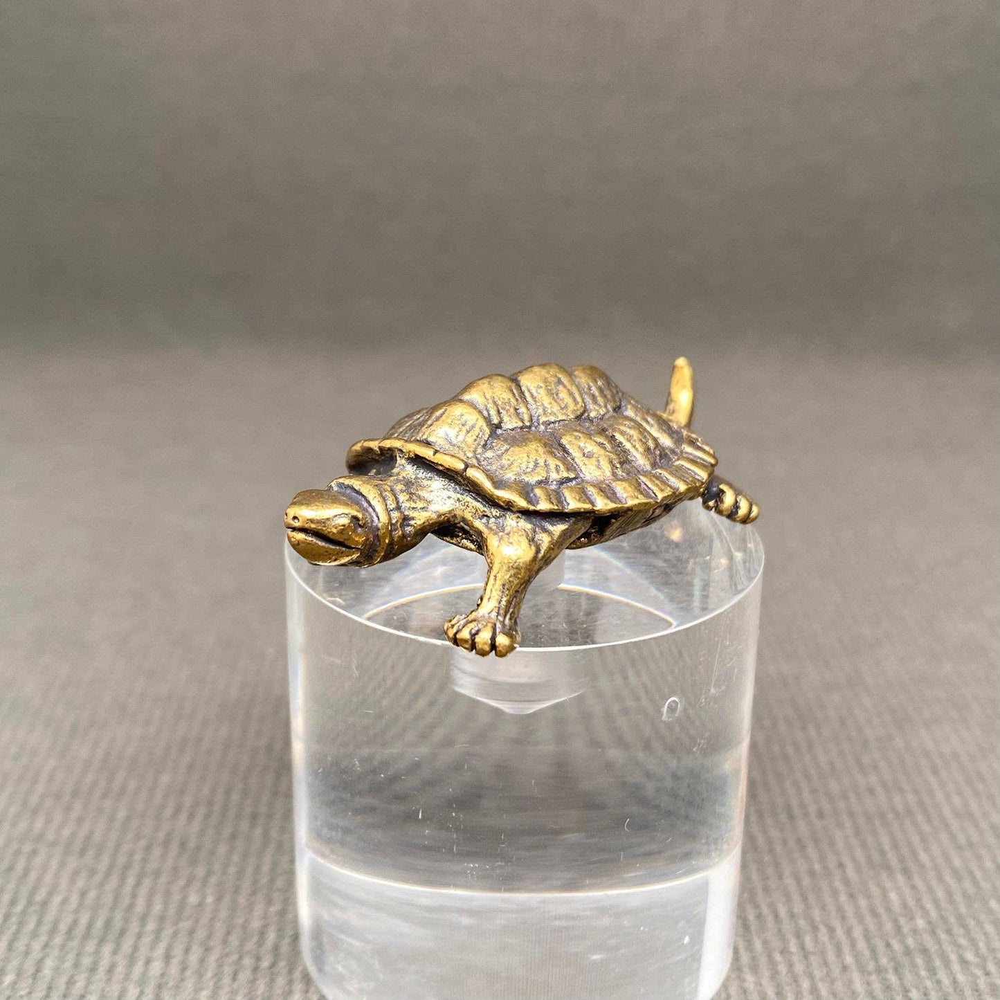 Brass Turtle Crafts Decoration Desktop Ornaments - The Mirrored Past
