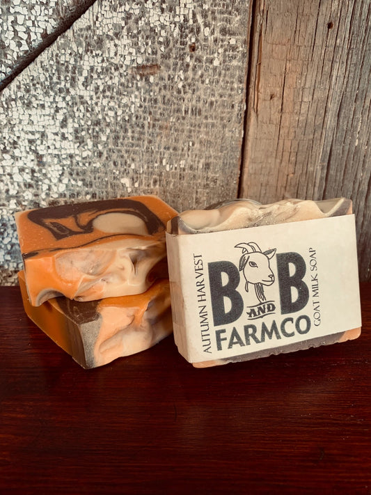 Goat Milk Bar Soap | Autumn Harvest - The Mirrored Past