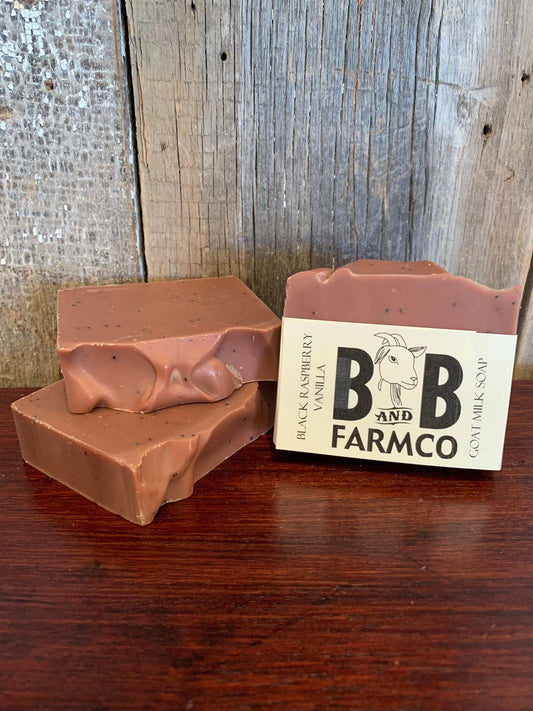 Goat Milk Bar Soap | Black Raspberry Vanilla - The Mirrored Past