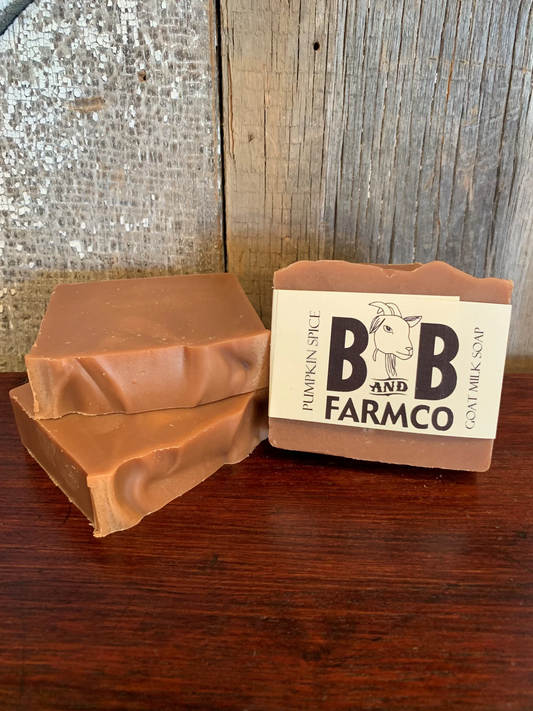 Goat Milk Bar Soap | Pumpkin Spice - The Mirrored Past