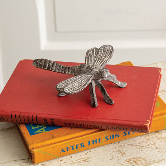 Cast Iron Dragonfly - The Mirrored Past