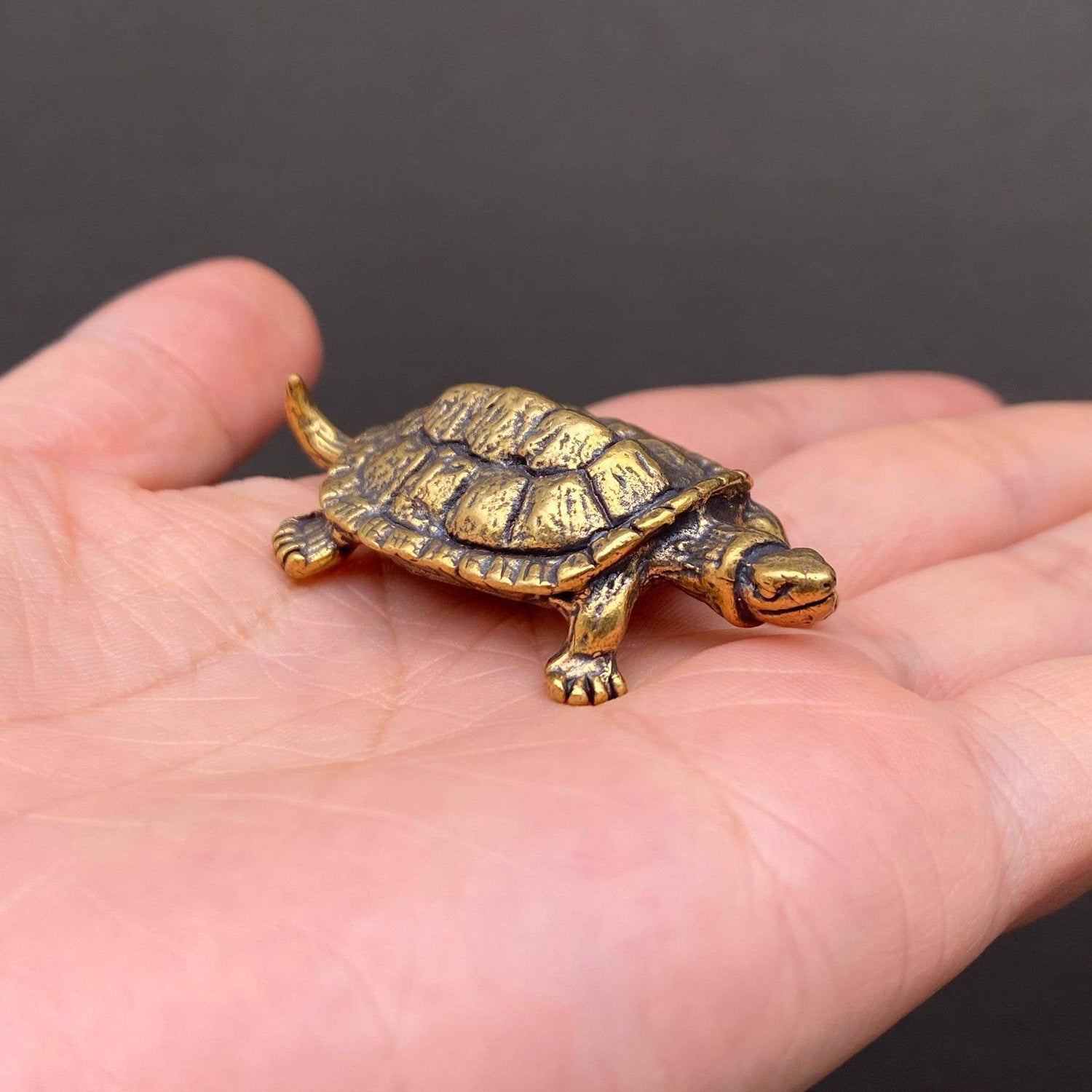 Brass Turtle Crafts Decoration Desktop Ornaments - The Mirrored Past