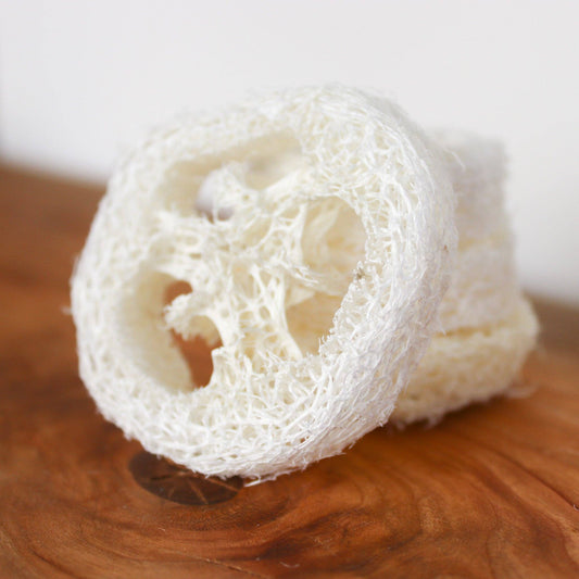 Loofah Single Piece | Loofah Slice/Soap Riser - The Mirrored Past