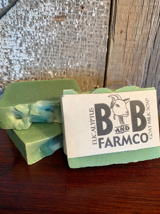 Goat Milk Bar Soap | Eucalyptus - The Mirrored Past