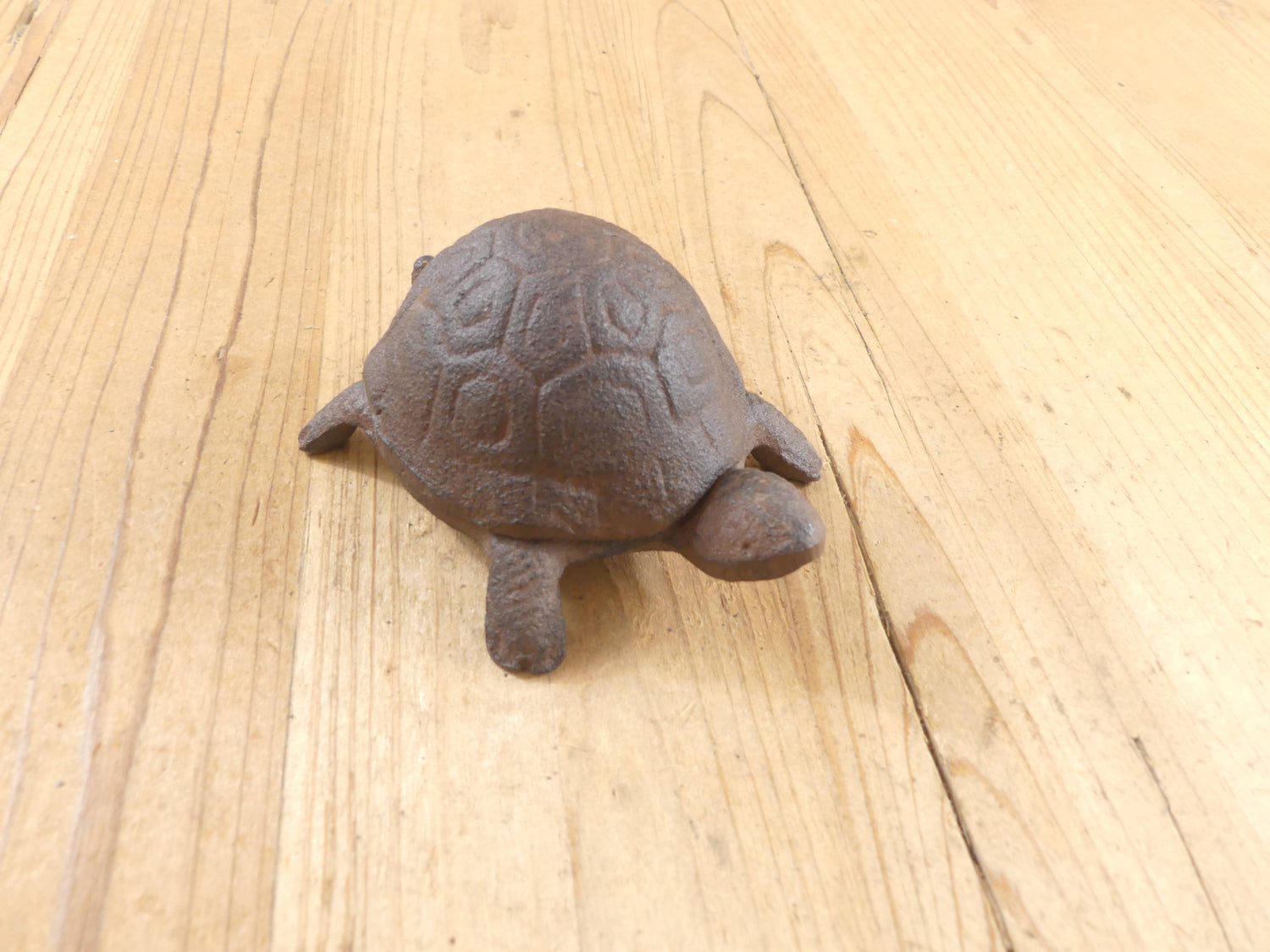 CAST IRON TURTLE KEY HIDEAWAY - The Mirrored Past