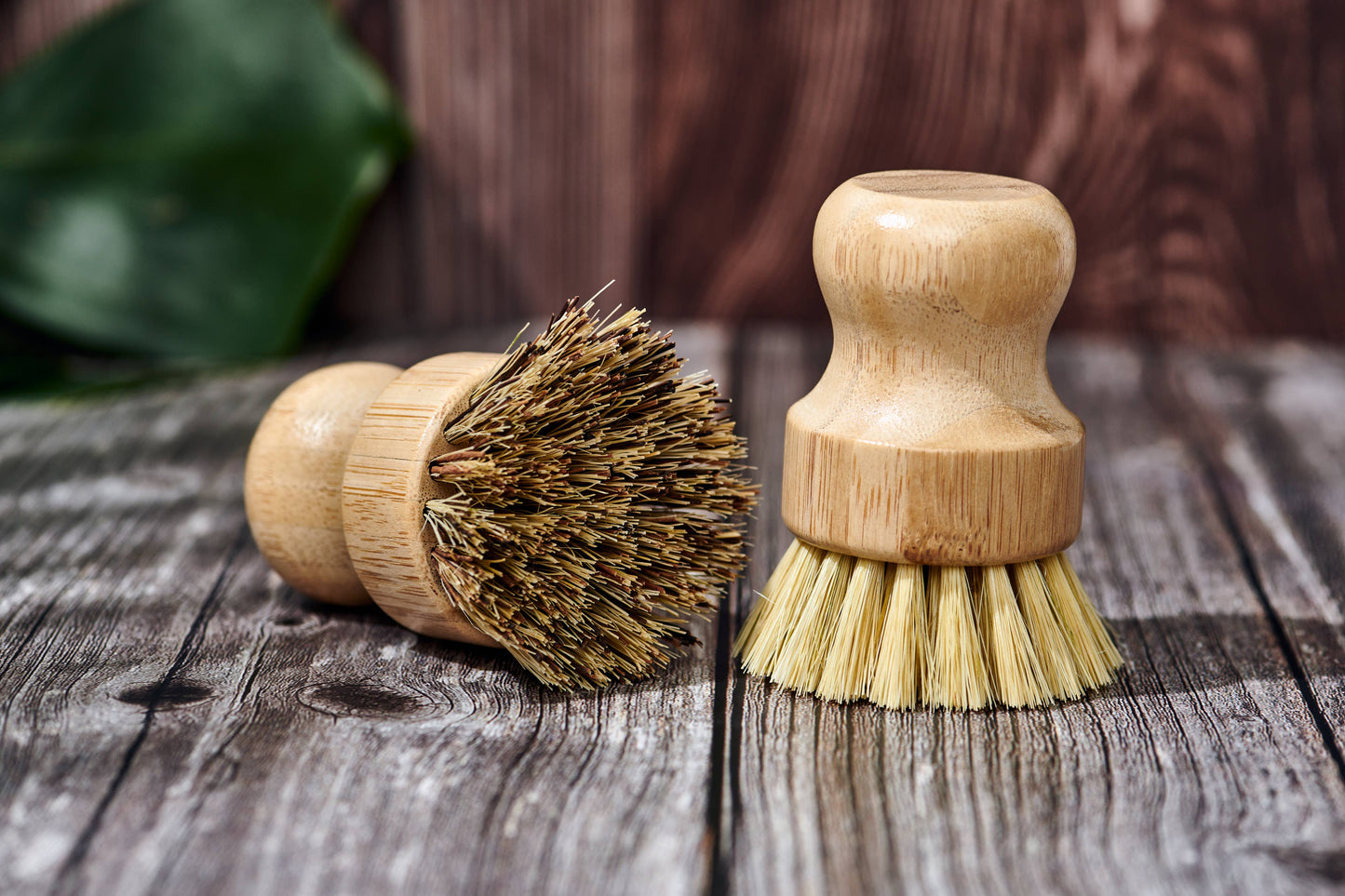 Bamboo Handle-less Dish Scrubbing Brush (Plastic Free): Firmer & Darker Colored Bristles Only - The Mirrored Past